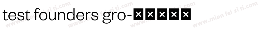 test founders gro字体转换
